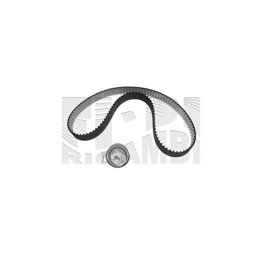 DAYCO Caliber Kit Distribuição